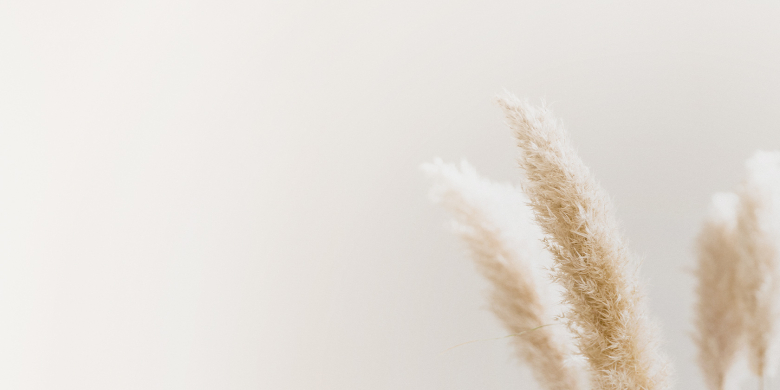 Get2 Aesthetics Plastische & Ästhetische Chirurgie Braunschweig & Hannover Get2 Aesthetics Plastische & Ästhetische Chirurgie Braunschweig & Hannover